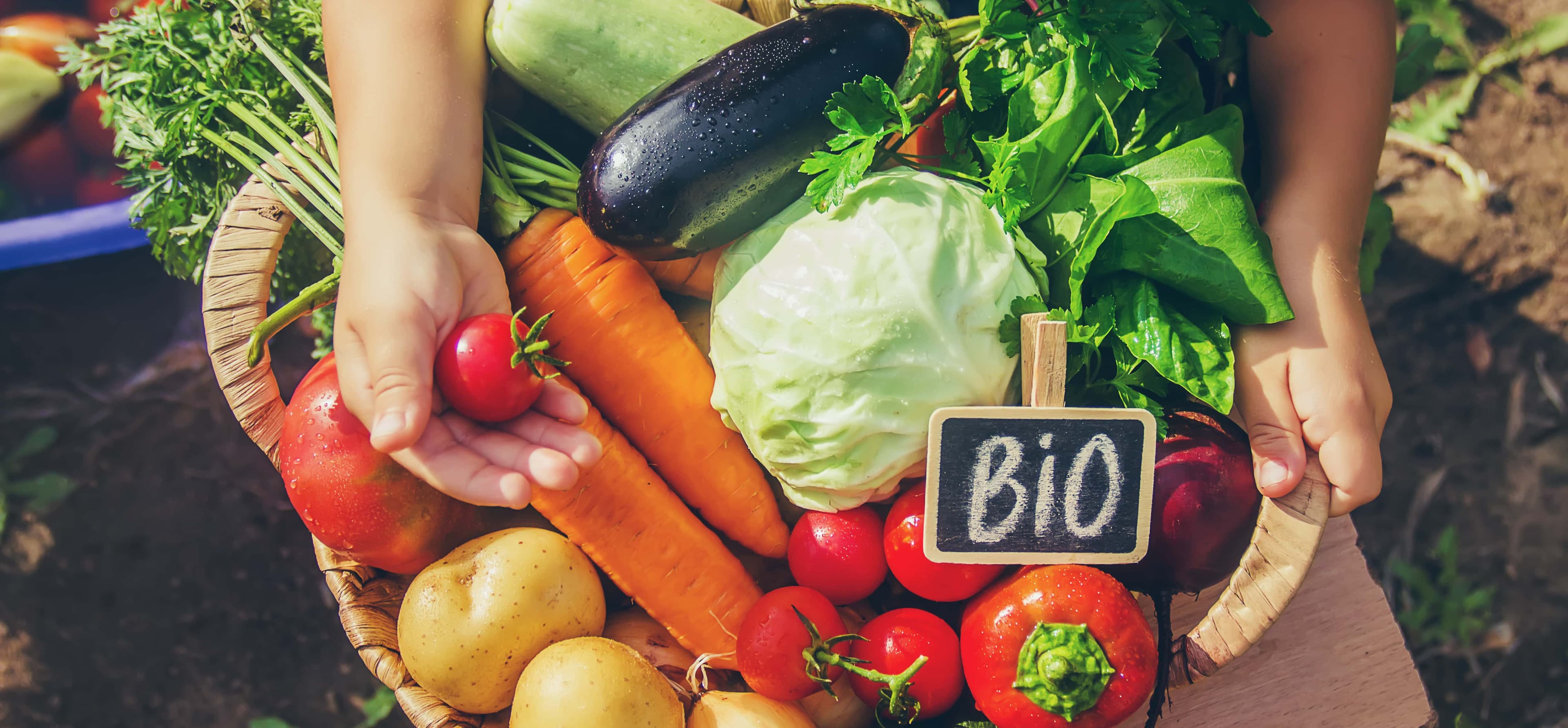 Օրգանական մակնշում