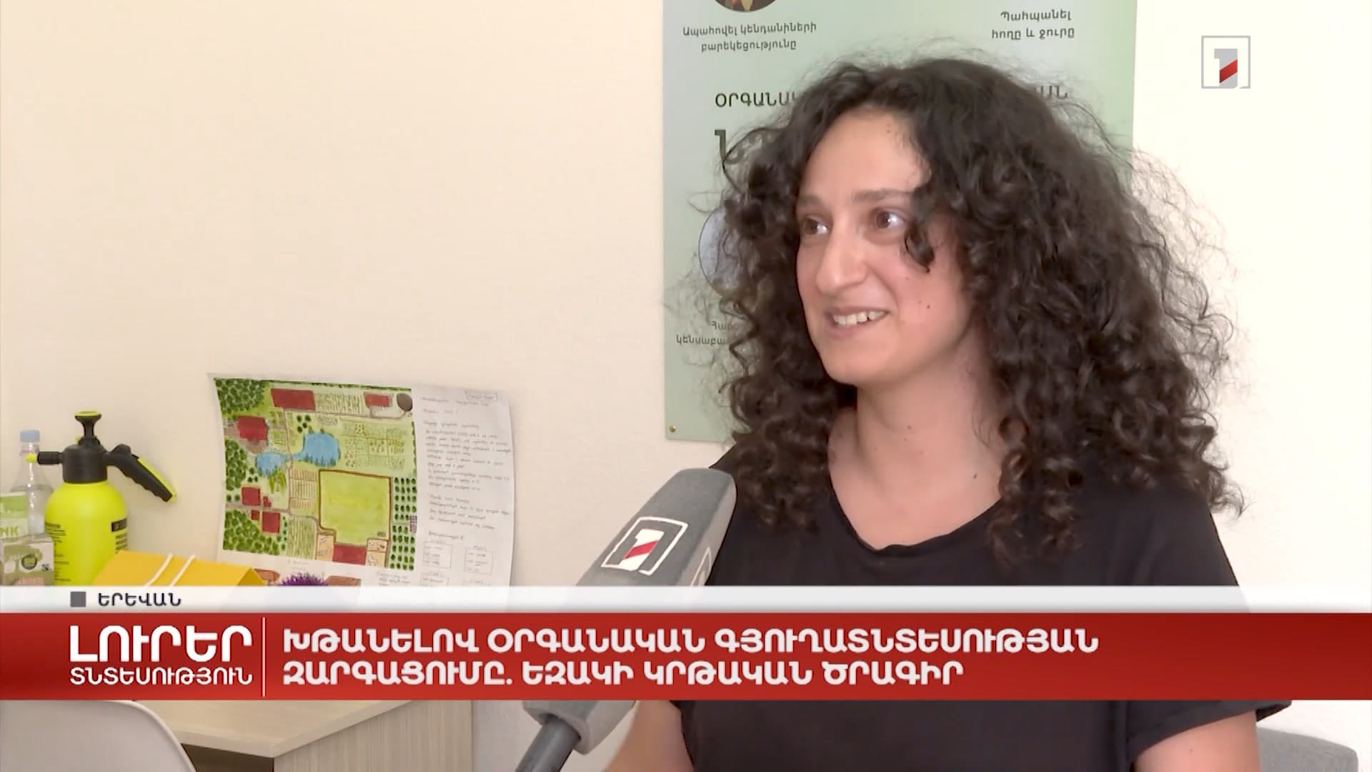 Thumbnail for Field Work