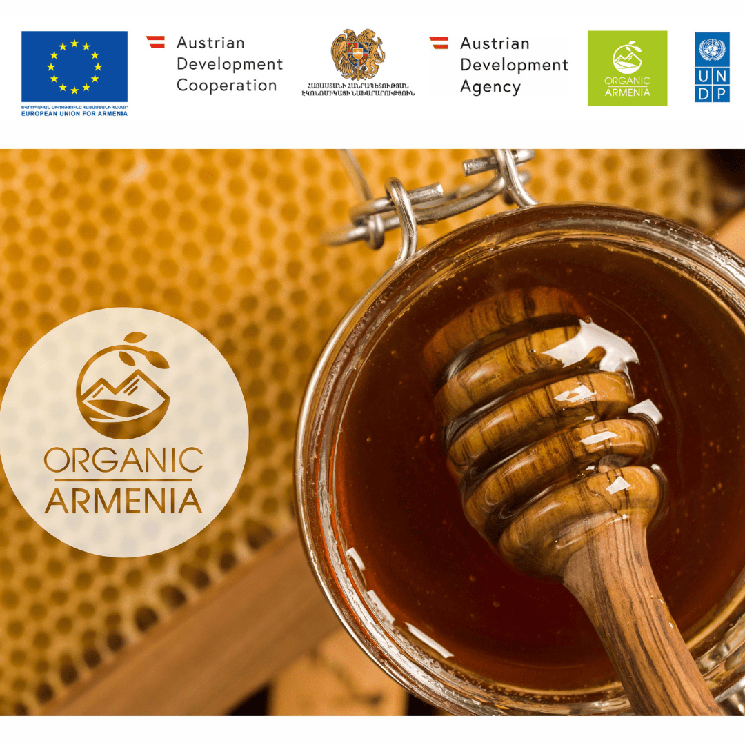 Ավանդական և օրգանական մեղվաբուծություն